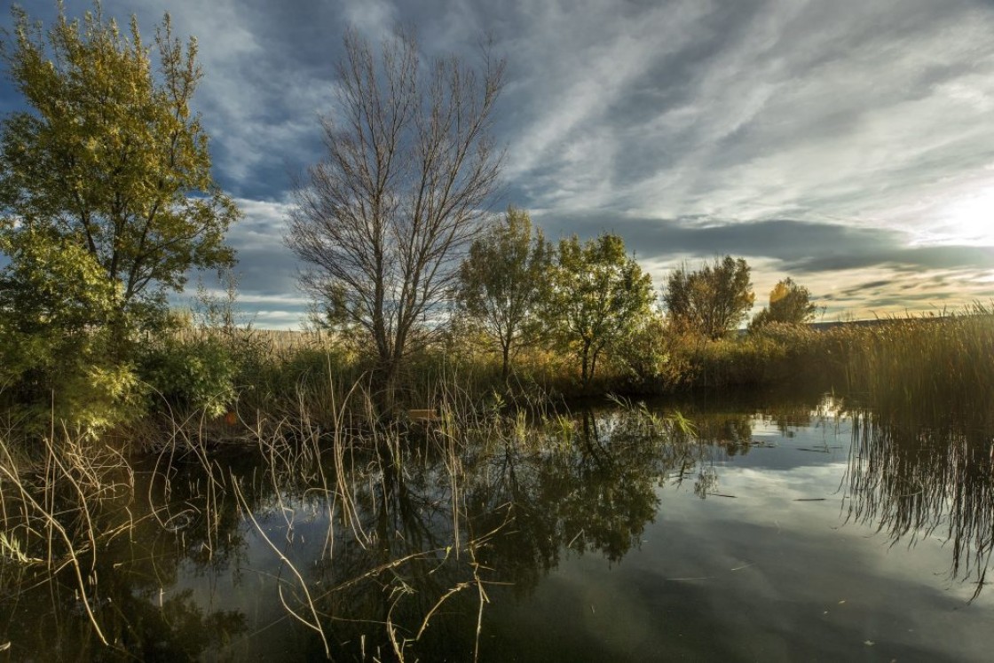 La Laguna del Cañizar comienza el periodo invernal de embalsado de agua