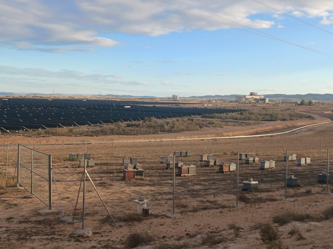 Endesa aplaza a 2029 la culminación del Nudo Mudéjar y pide agilidad administrativa