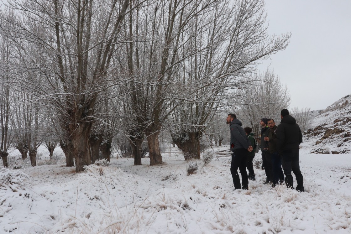 La Asociación Española de Arboricultura conoce el Parque Cultural del Chopo Cabecero