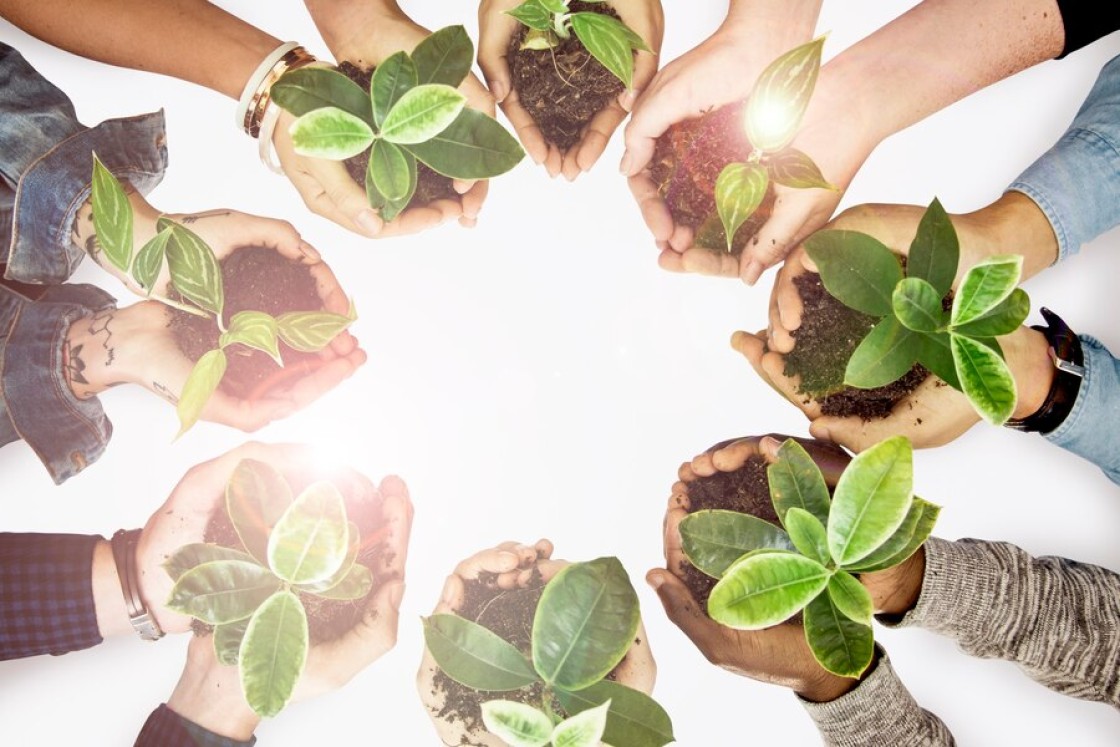 Descubre EcológicoSostenible, la red social que une a apasionados por la ecología en la era digital