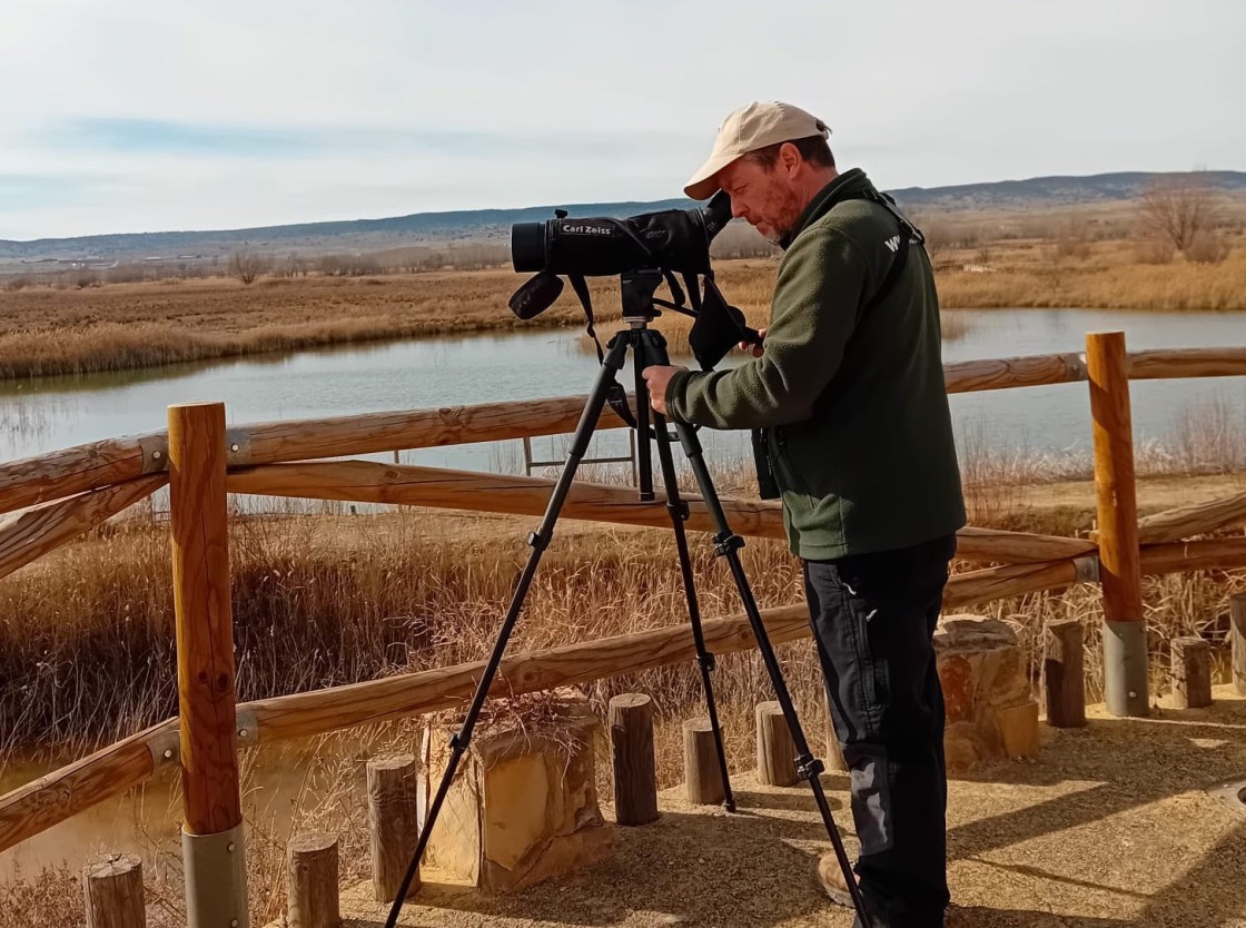 La escasez de agua en la Laguna del Cañizar merma el censo de aves acuáticas invernantes
