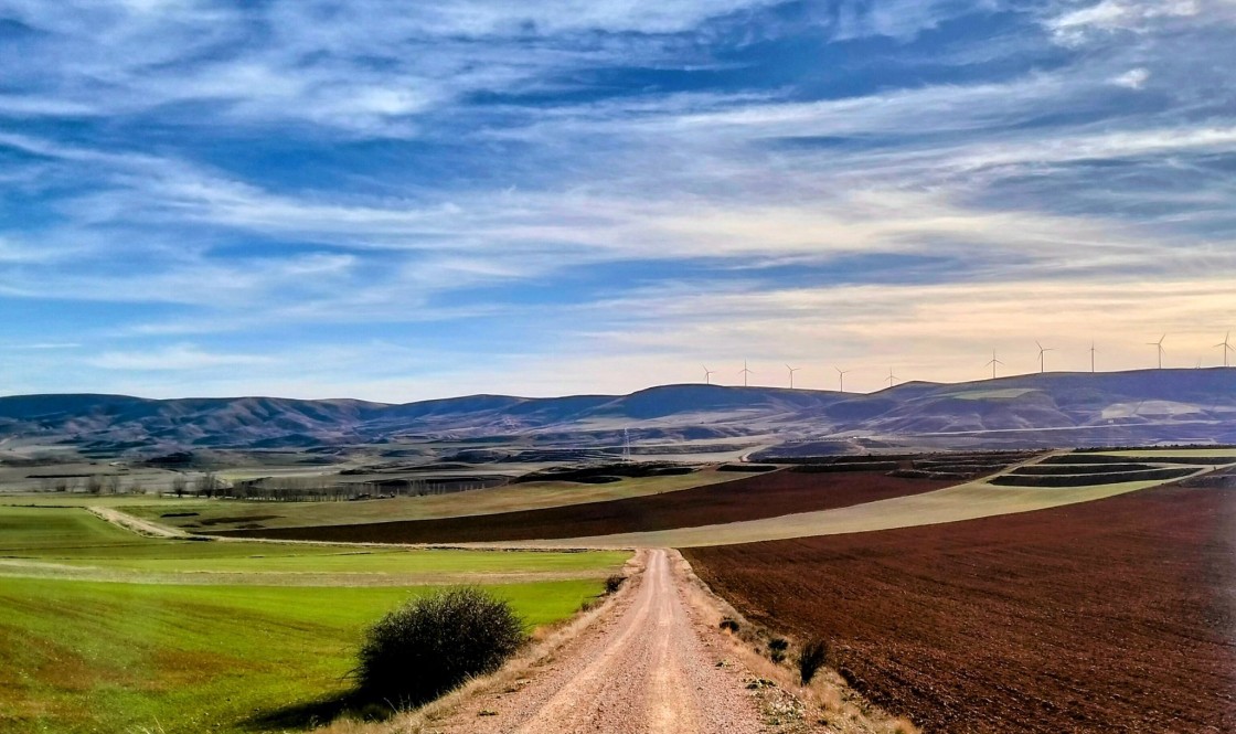 Las indemnizaciones del seguro agrario en Teruel alcanzan los 20,5 millones en 2023