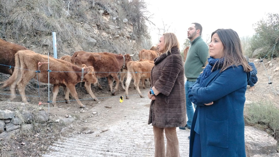 Mayte Pérez anuncia que pedirá una línea de ayudas para prevenir incendios forestales