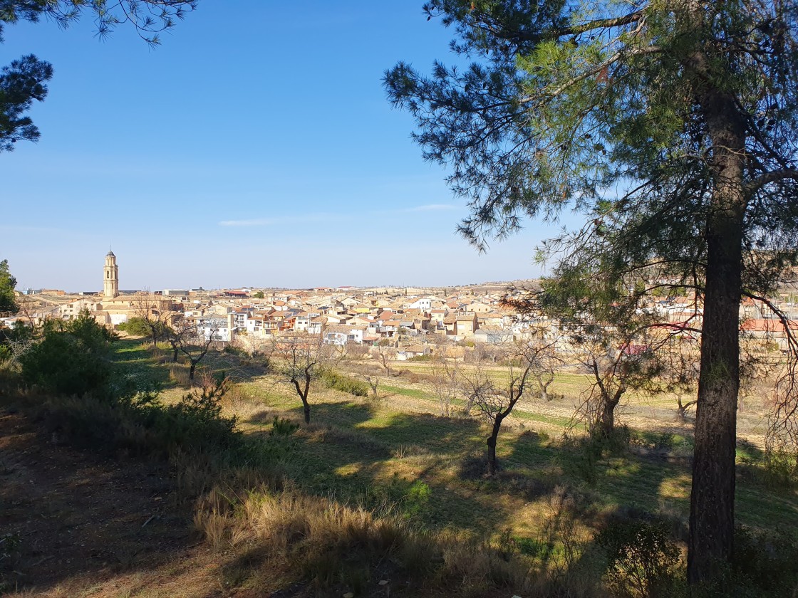 Torrecilla de Alcañiz redacta una nueva ordenanza sobre tenencia de animales domésticos