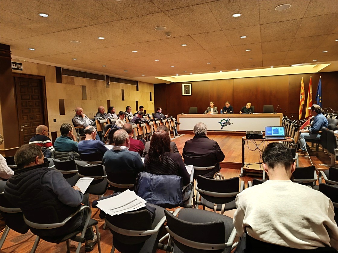 El primer Consejo Consultivo de la Comunidad de Teruel informa del presupuesto comarcal