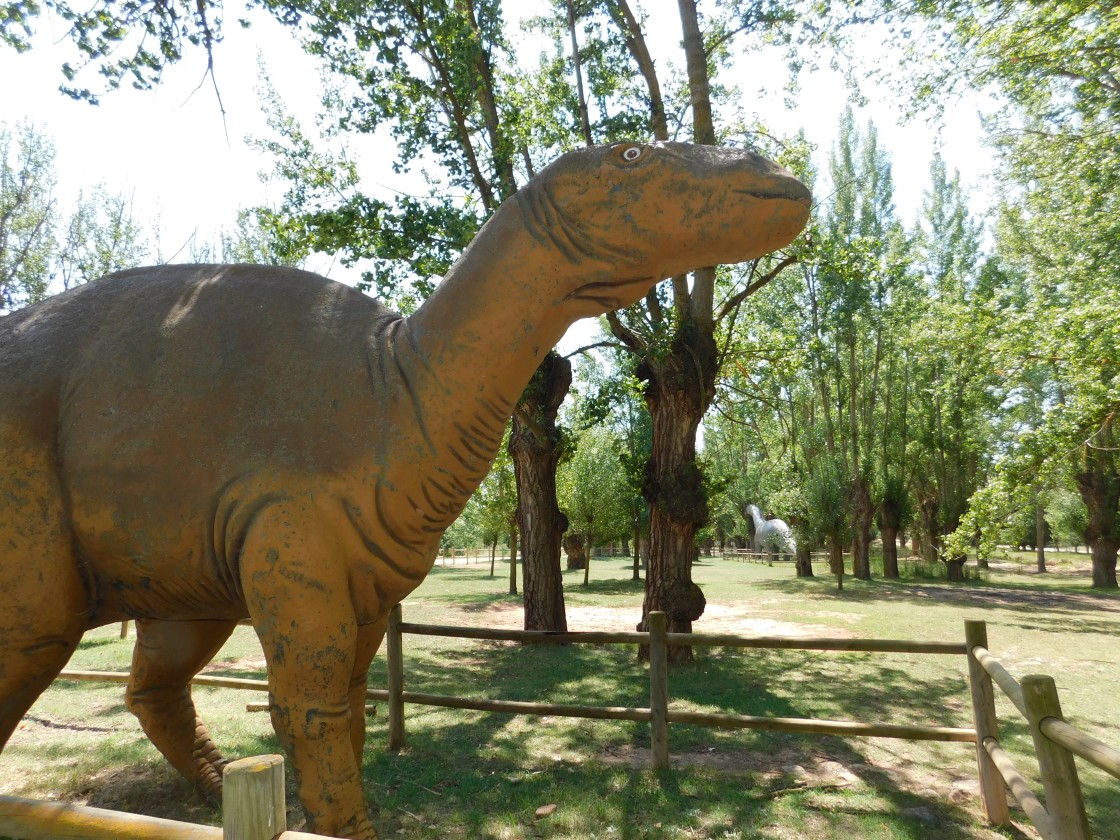 Galve contará con otro dinosaurio de 18 metros de largo lpor 6,5 de ancho en su parque paleontológico