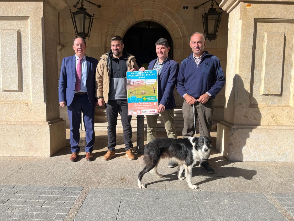 La Masía El Chantre de la DPT acoge el I Open de Perros Pastores de Teruel