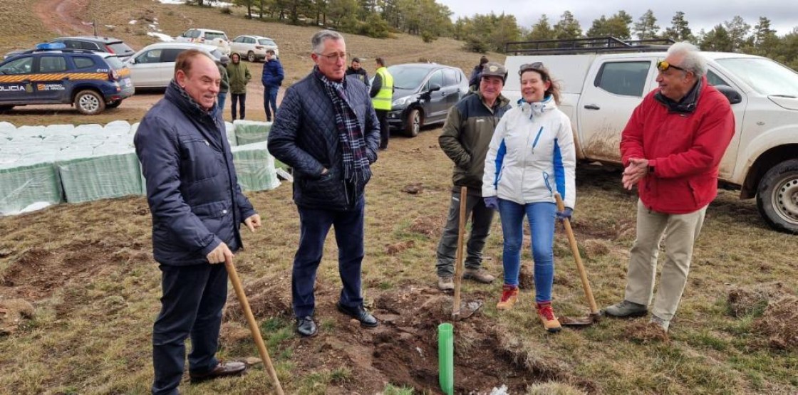 Gestión Forestal restaura el monte de Castelfrío con la plantación de más de 58.000 árboles