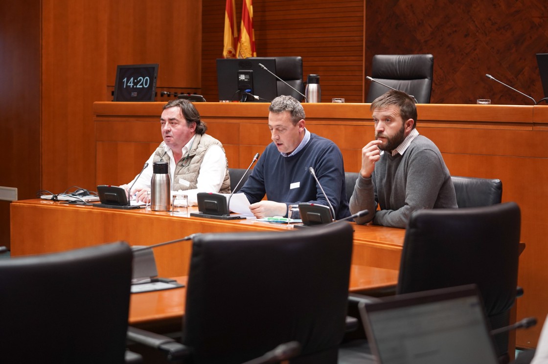 Paisajes de Teruel y Viento Alto exponen su dispar visión de las renovables en la Comisión de Investigación de las Cortes