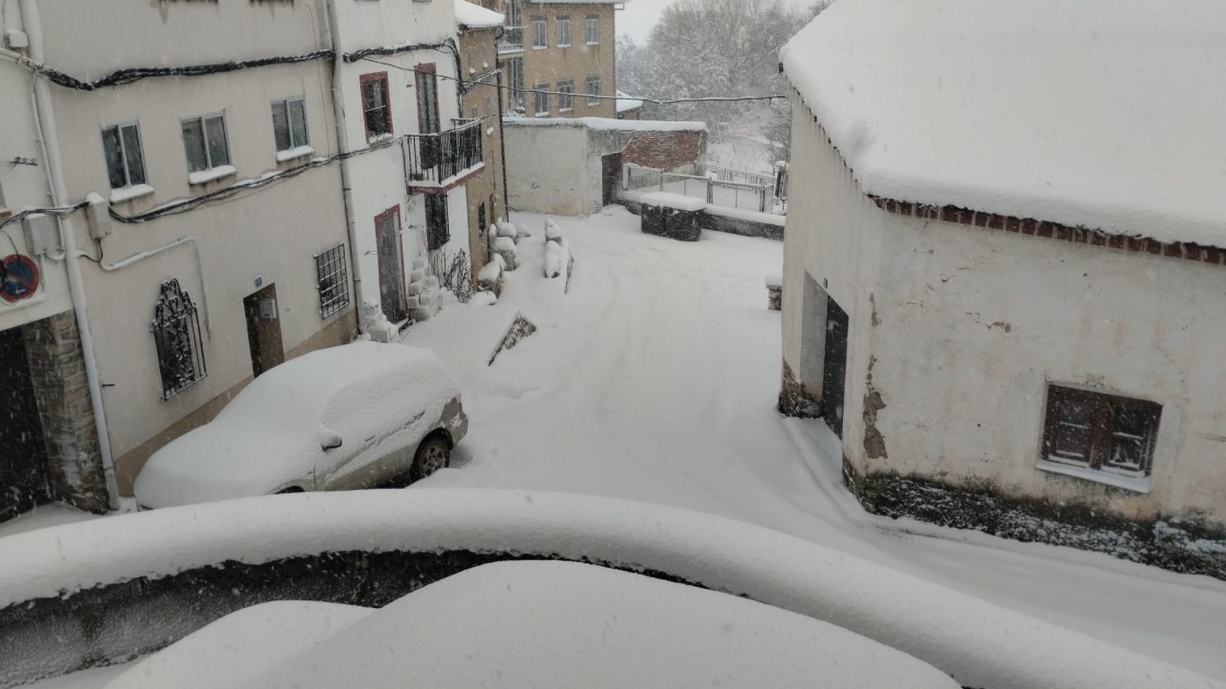 El puerto de Orihuela del Tremedal, intransitable por la caída de pinos en la calzada a causa de la nieve