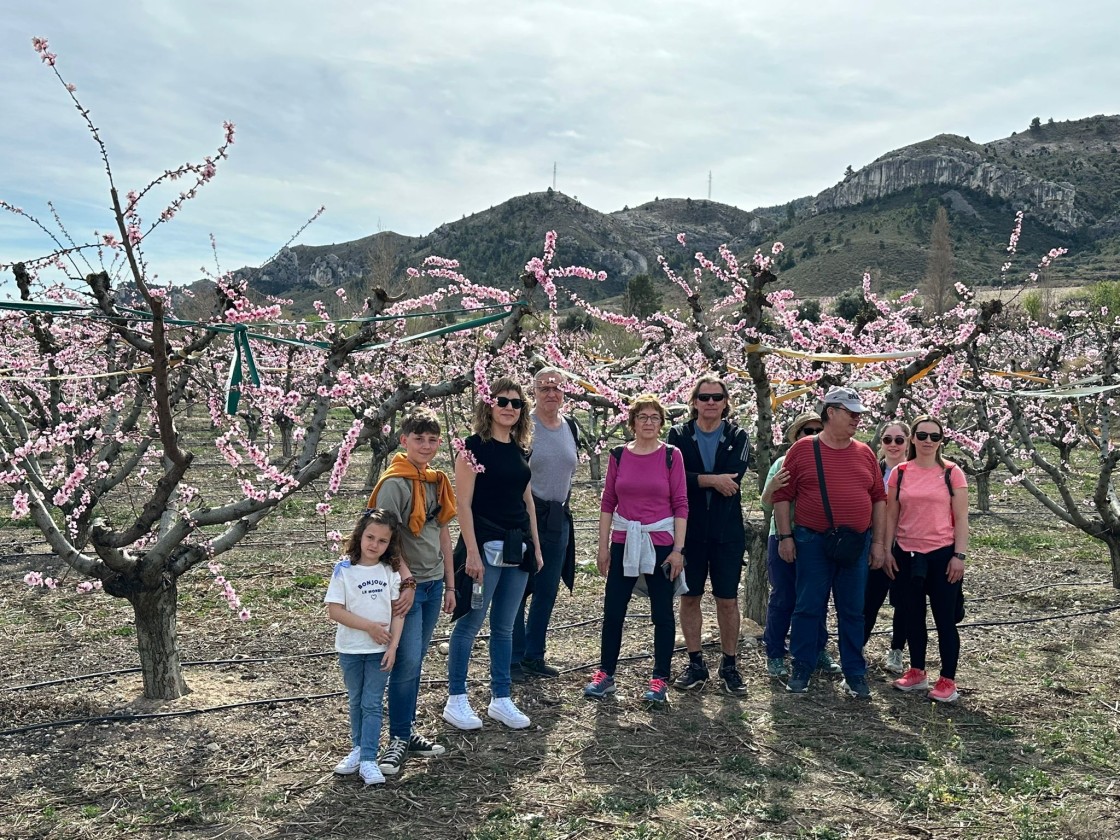 La floración del melocotonero se erige en reclamo turístico en Calanda