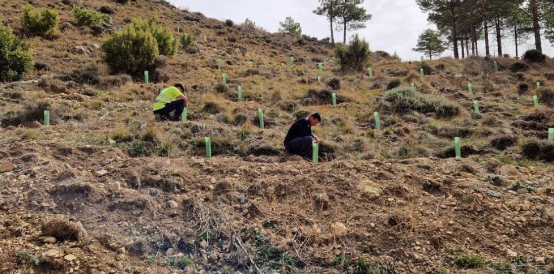 Gestión Forestal desarrolla un plan integral de actuaciones en el monte de las Masías de Ejulve