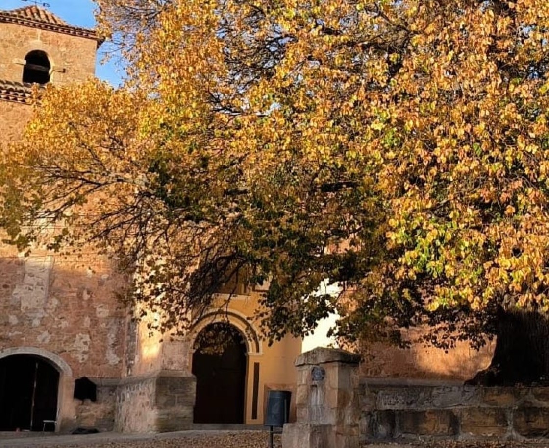 Todo listo en Alobras para celebrar el cuarto centenario de su emblemático olmo