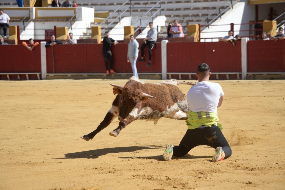 Toroter recupera este lunes una suelta de reses para el fomento de la afición