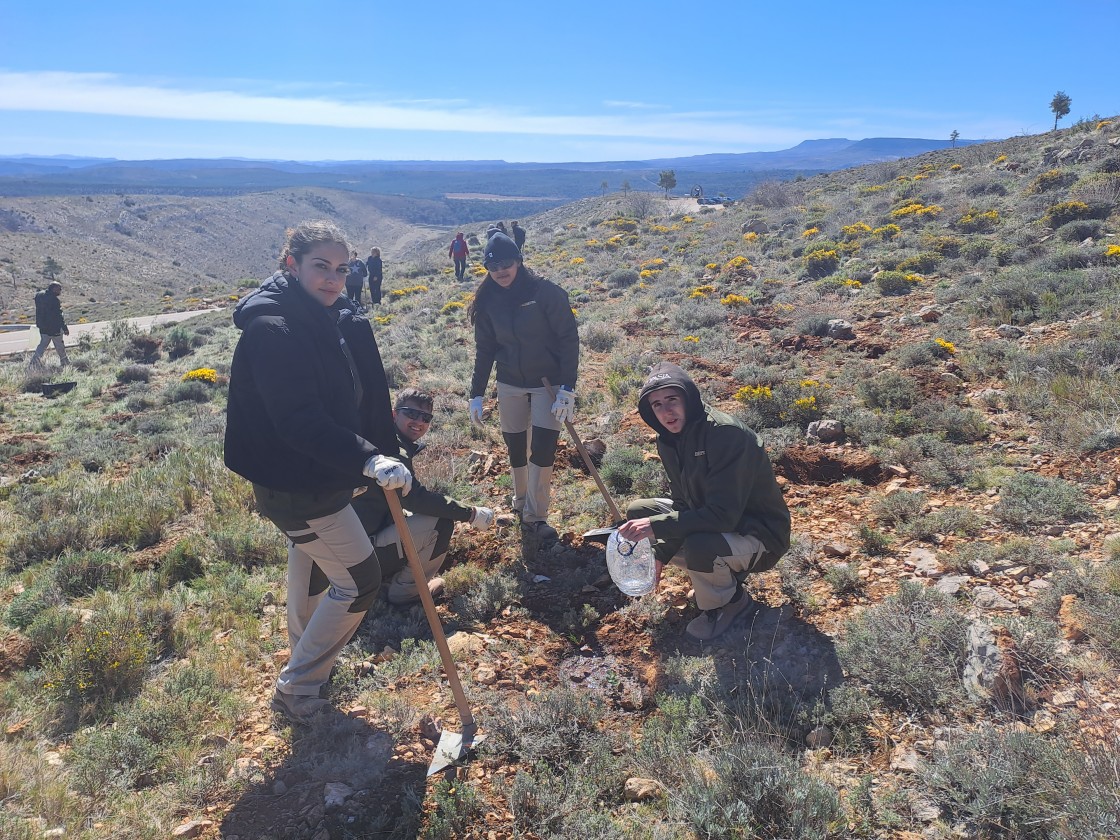 Jornada de plantación de árboles en Ejulve para mitigar la huella de carbono de la Silent Route