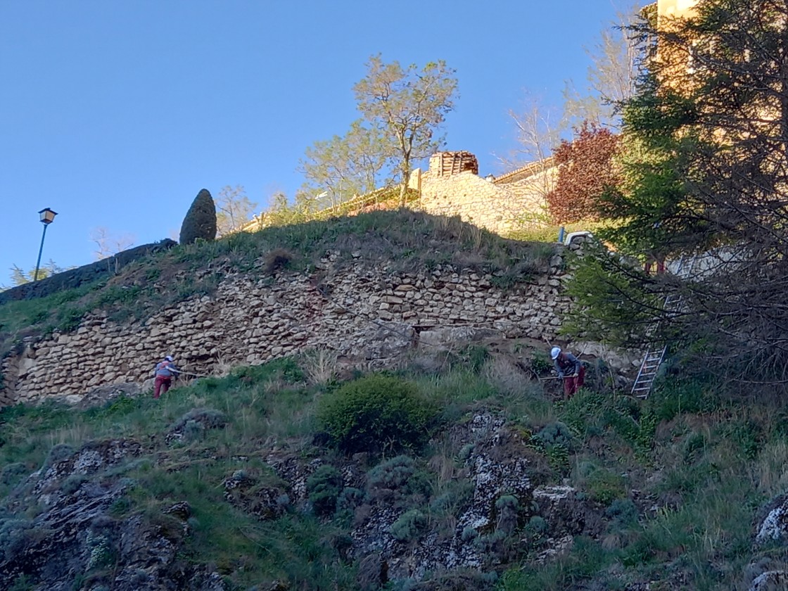 La limpieza del primer tramo de la muralla de Albarracín desvela restos de un torreón de planta circular