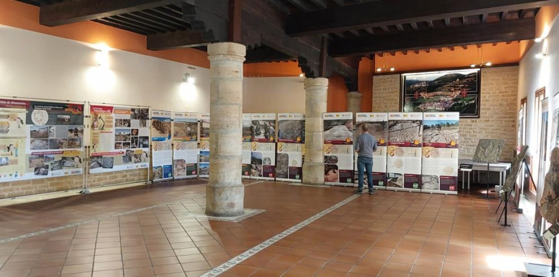 La exposición de los BIC paleontológicos llega a Linares de Mora