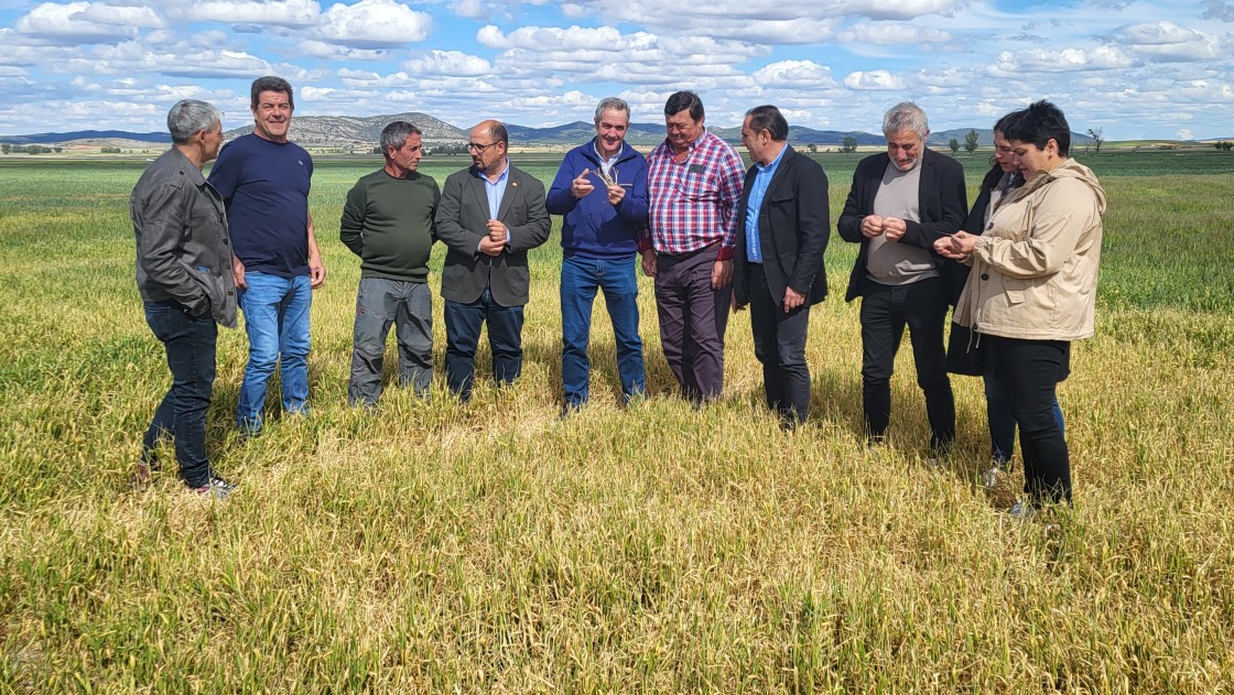 Izquierdo (PAR) reclama el incremento del importe de las Medidas Agroambientales para los agricultores de los pueblos del entorno de la Laguna de Gallocanta