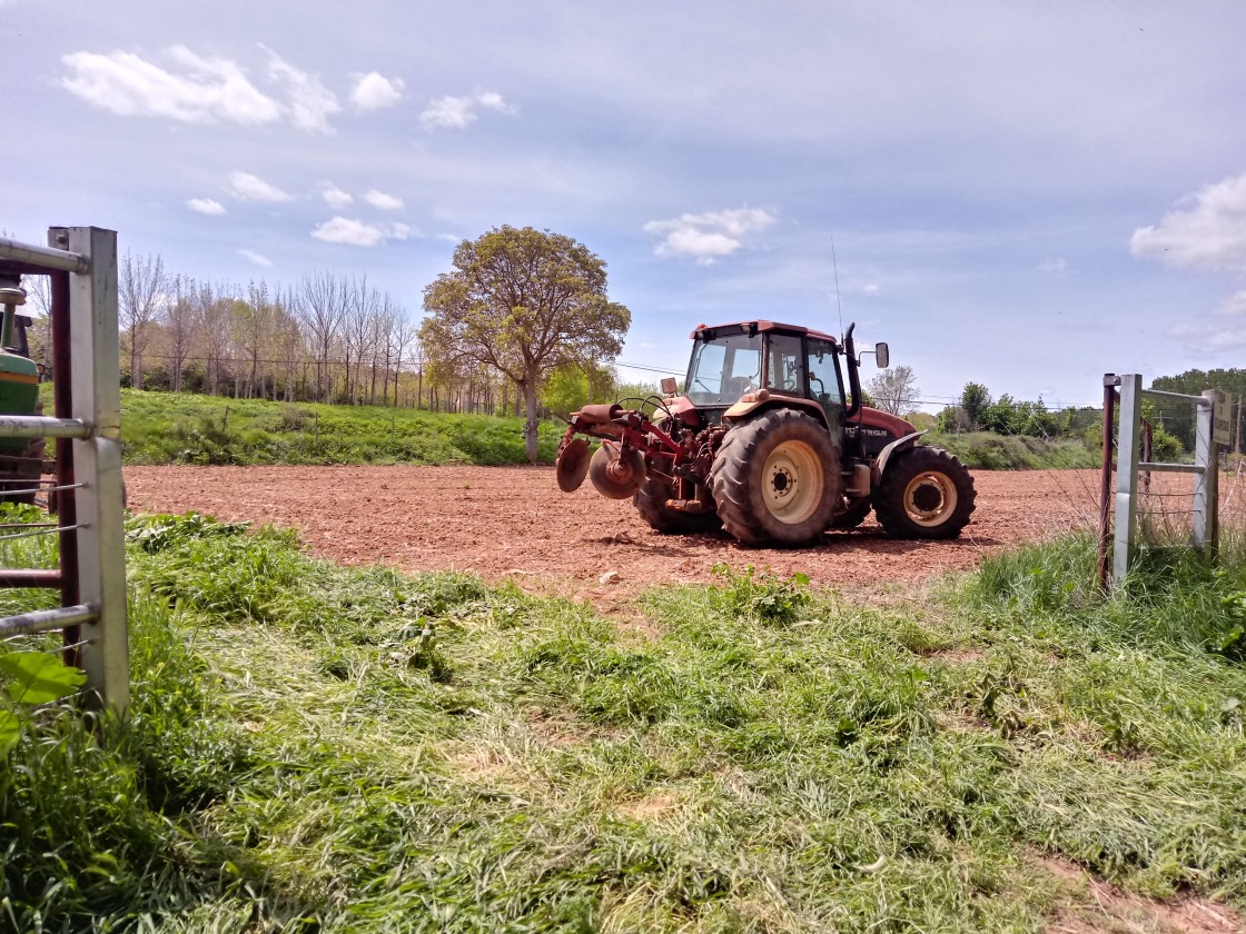 El Comité Económico y Social Europeo reclama una carta de derechos para las zonas rurales