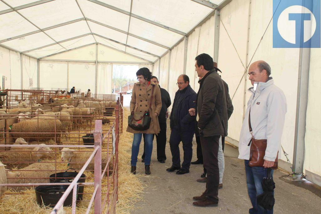 Las rehalas y el mercadillo protagonizan la IV edición de la Feria de Alfambra