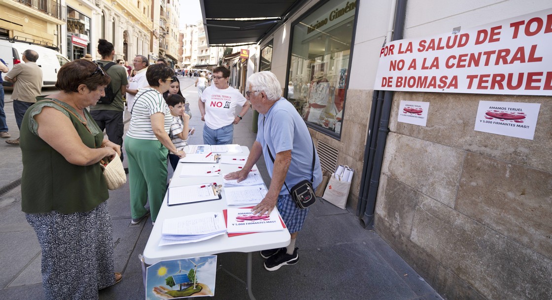 Los vecinos contrarios a la central de biomasa inciden en los daños a la salud