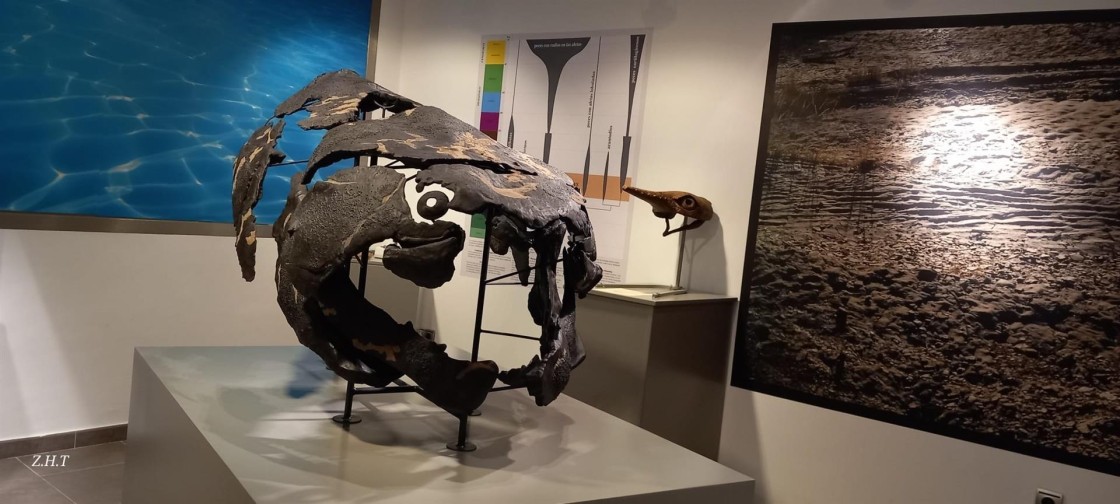 El Museo de los Mares Paleozoicos acoge una conferencia sobre el primer superdepredador gigante el 13 de julio