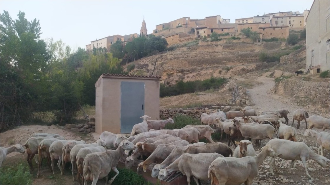 Tronchón corta el suministro de agua a las masías para garantizar el abastecimiento al pueblo