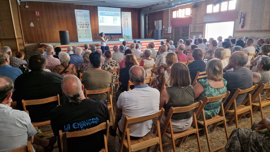 Las borrajas y crespillos protagonizan las Jornadas Culturales de La Codoñera