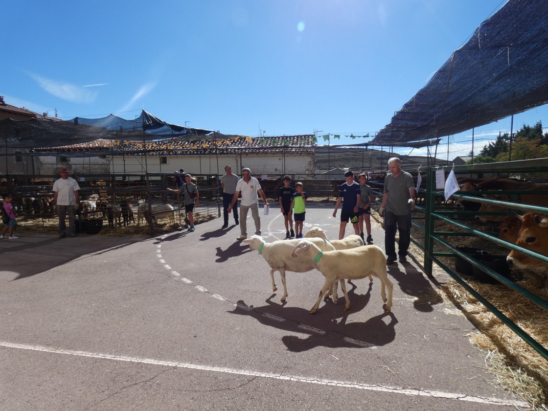 70 puestos comerciales y 30 ganaderos participan en la Feria de Mosqueruela