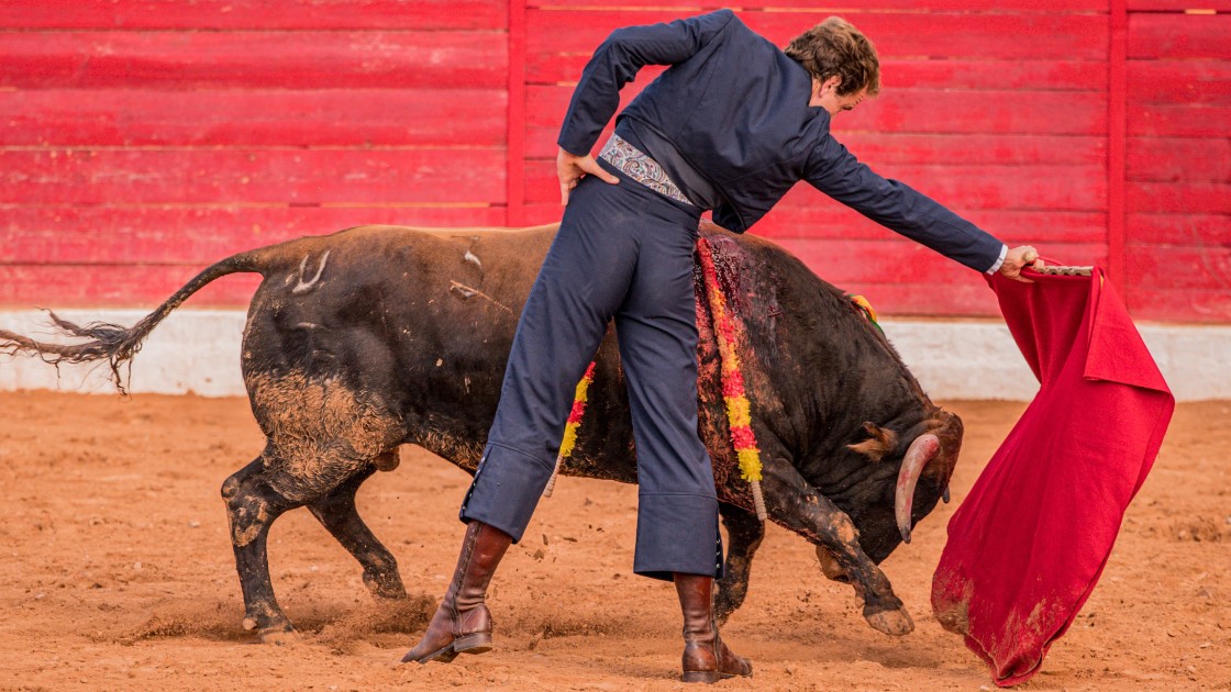 Adame, triunfador en Santa Eulalia al cortar dos orejas a un novillo de Román Sorando