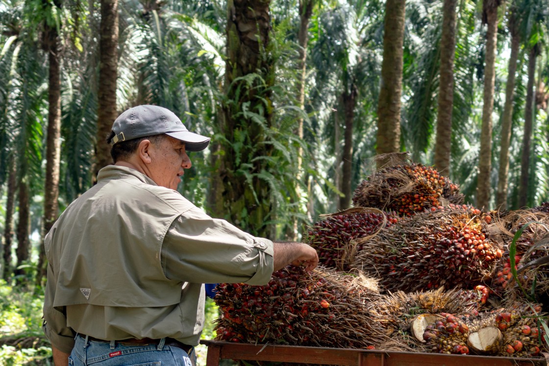 Transformando Residuos en Riqueza: Hugo Molina Botrán Comparte Estrategias Agrícolas Innovadoras