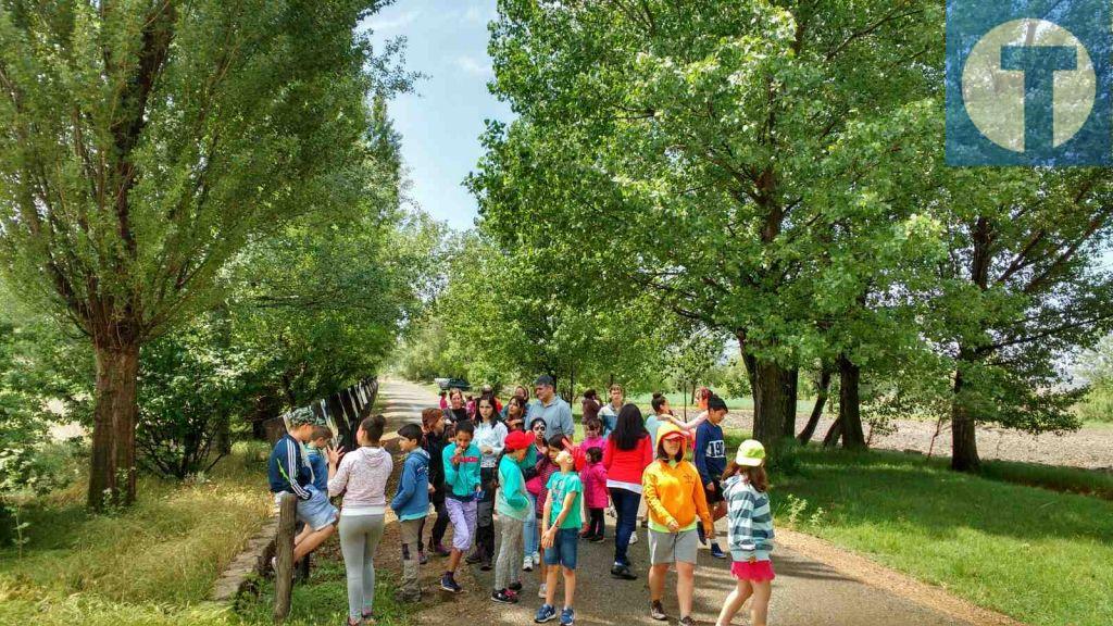 Celebración en Villarquemado por el Día del Medio Ambiente