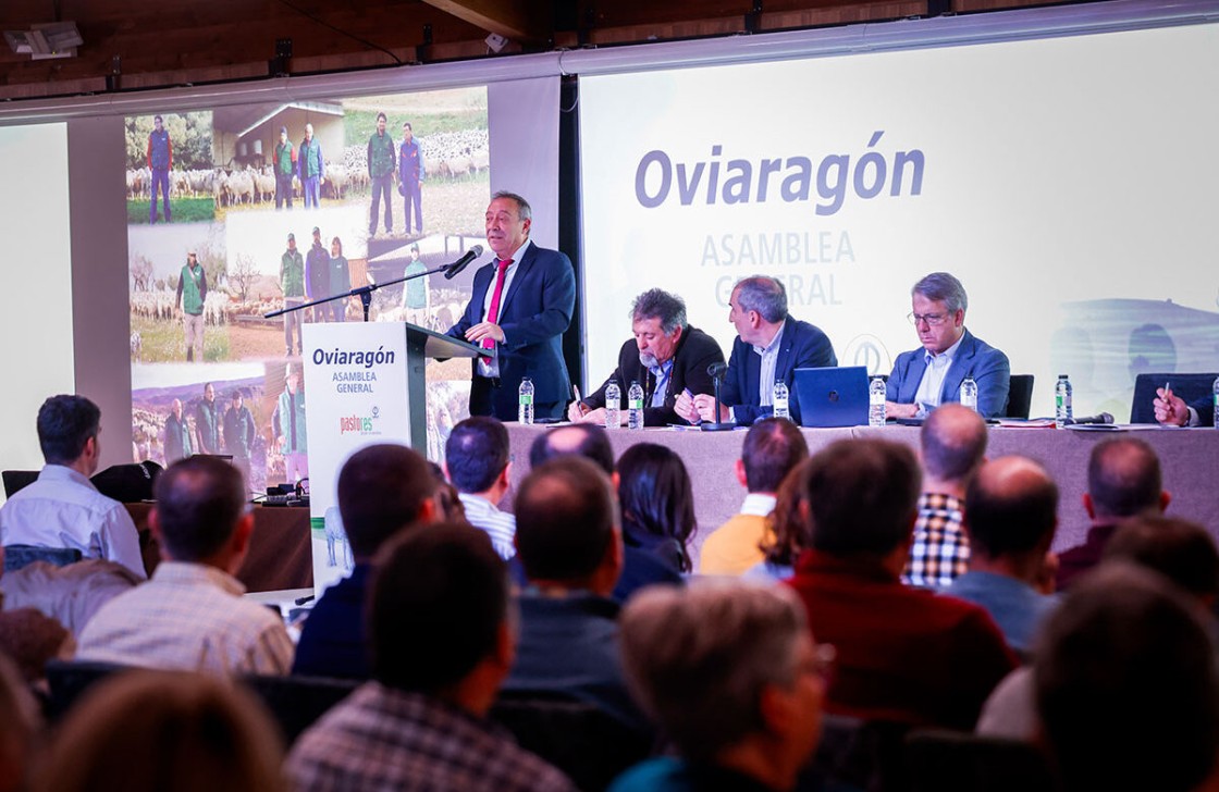 Las ventas de queso de oveja de Granja Perales aumentan un 27 % en 2024
