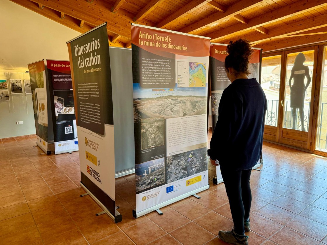 La exposición 'Dinosaurios del carbón' se podrá visitar durante todo el mes de mayo en Gargallo