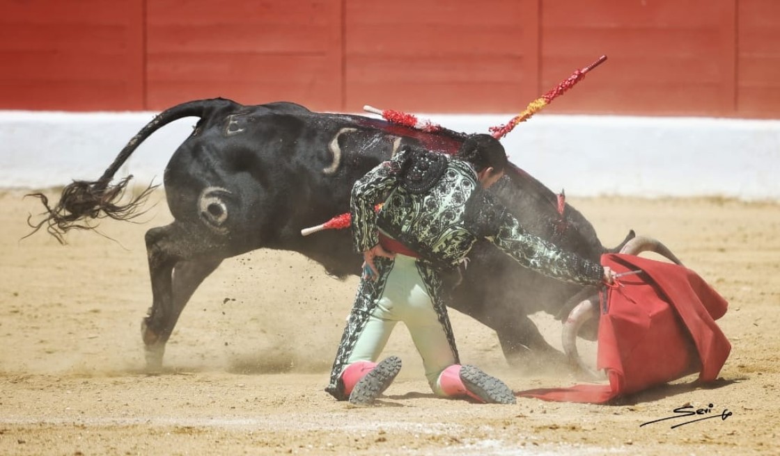 Un novillo de Alicia Chico destaca en el primer festejo de la Feria del Aficionado