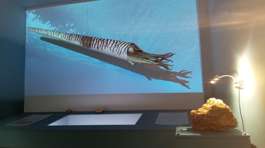 Un viaje alucinante a los mares primigenios de un Teruel sumergido hace 400 millones de años