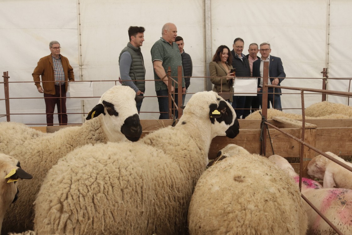 “La provincia de Teruel debe mantener su apuesta por la excelencia en el sector agroalimentario”