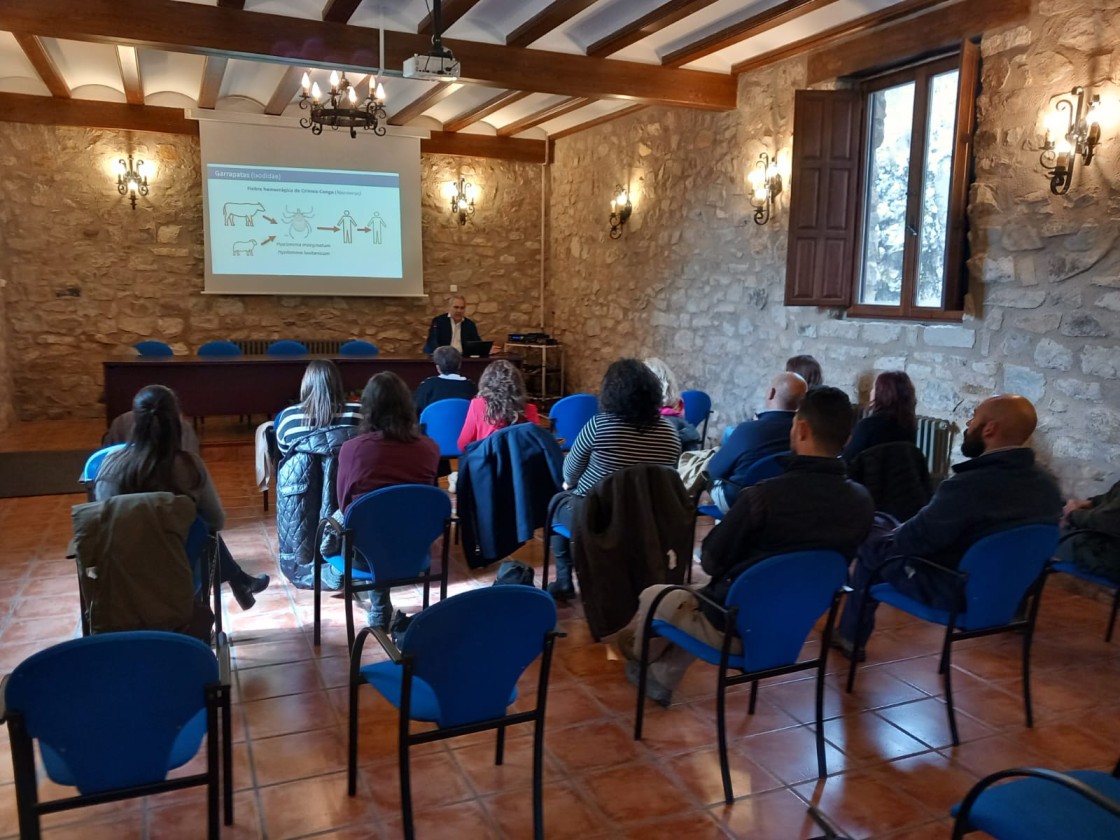 Salud Pública y Universidad renuevan la vigilancia de las garrapatas en Orihuela del Tremedal