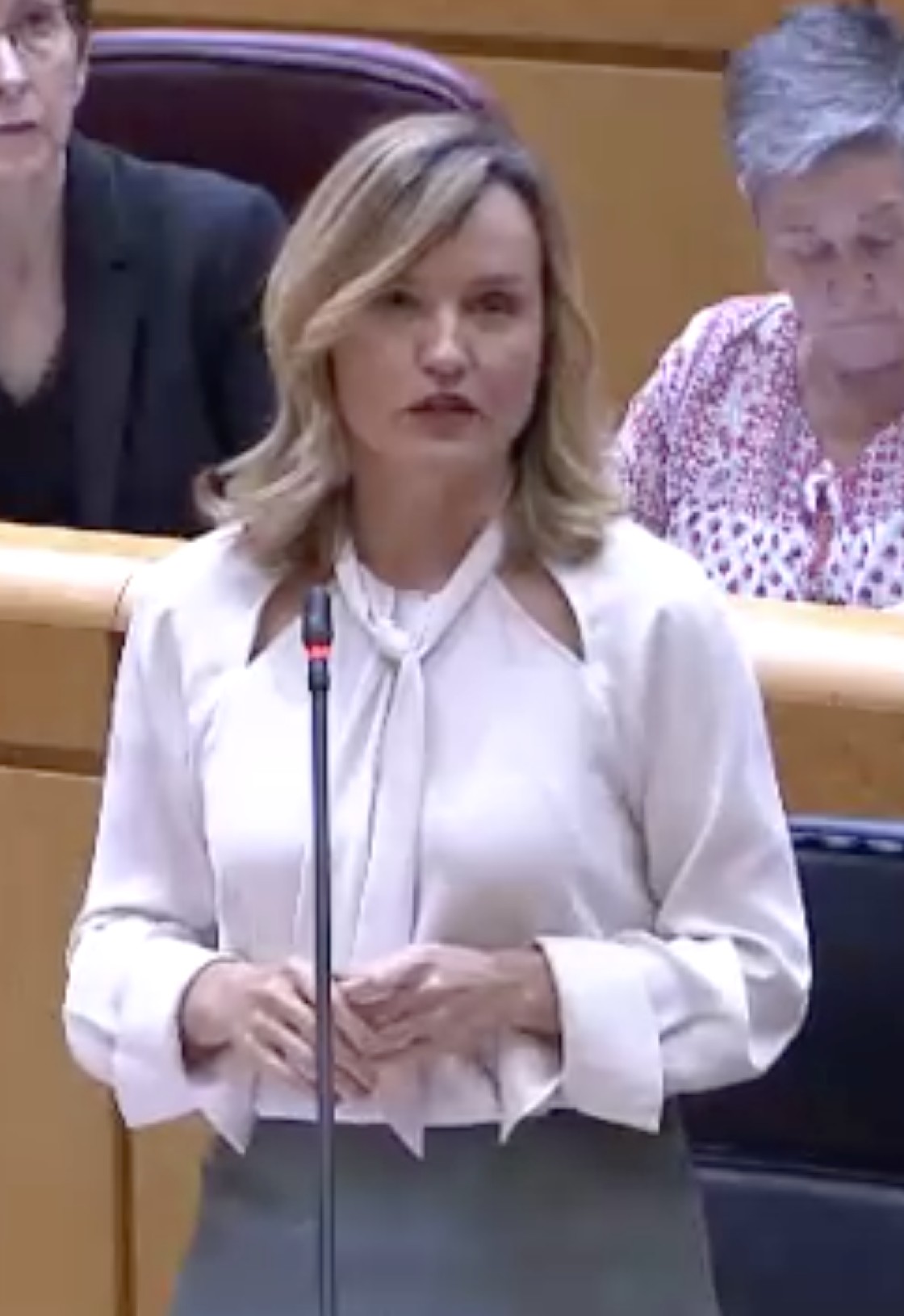Alegría insiste en acusar al PP de “encender el botón de los insultos”