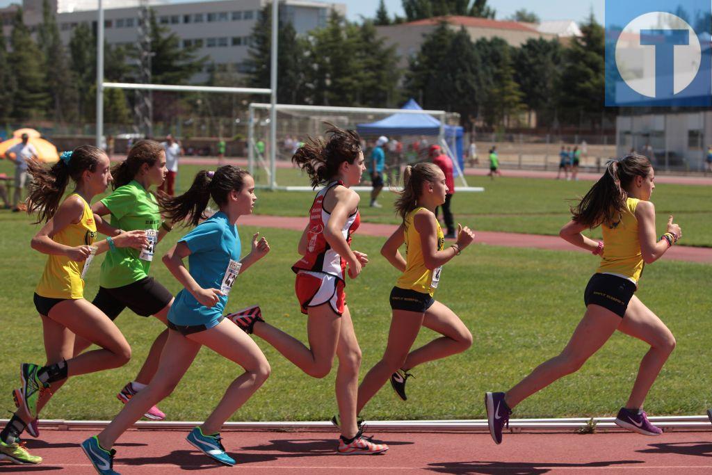 XVI Memorial de Atletismo josé Navarro Bau