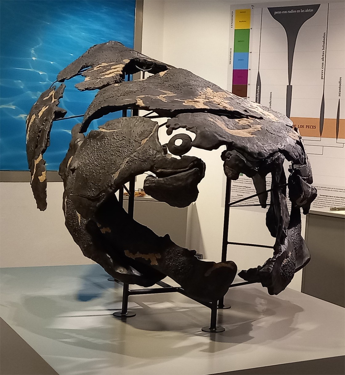 Santa Cruz de Noguera mostrará su mar paleozoico en el XXV Geolodía