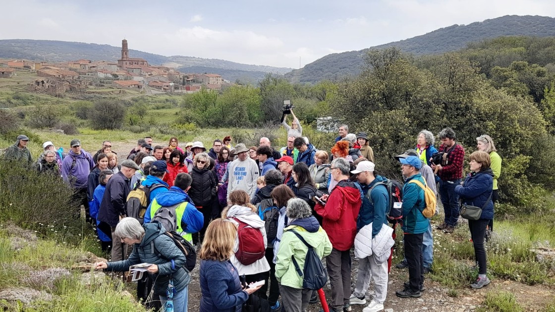 El XX Geolodía de la provincia de Teruel muestra la paleodiversidad de los mares y costas del Paleozoico en Santa Cruz de Nogueras