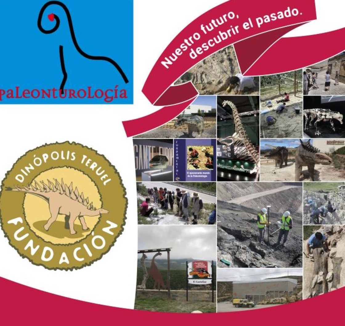 Convocado el Premio Internacional de Investigación en Paleontología Paleonturología 25