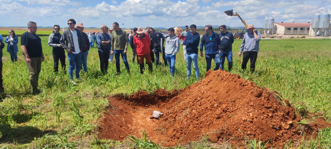 Los agricultores comprueban el resultado de prácticas de manejo que mejoran el suelo