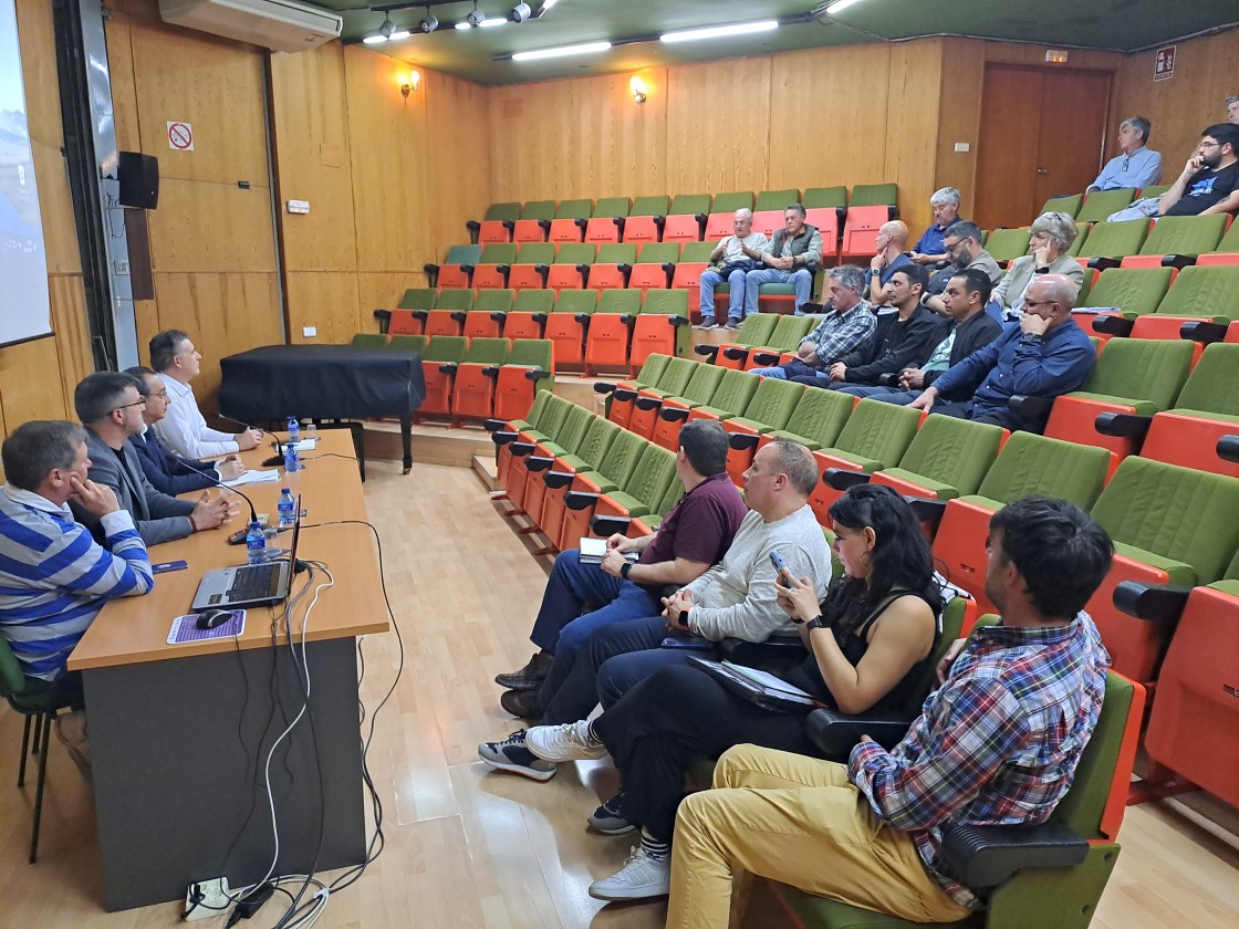 Endesa espera que en torno a este verano el Miteco resuelva la DIA del Nudo Mudéjar