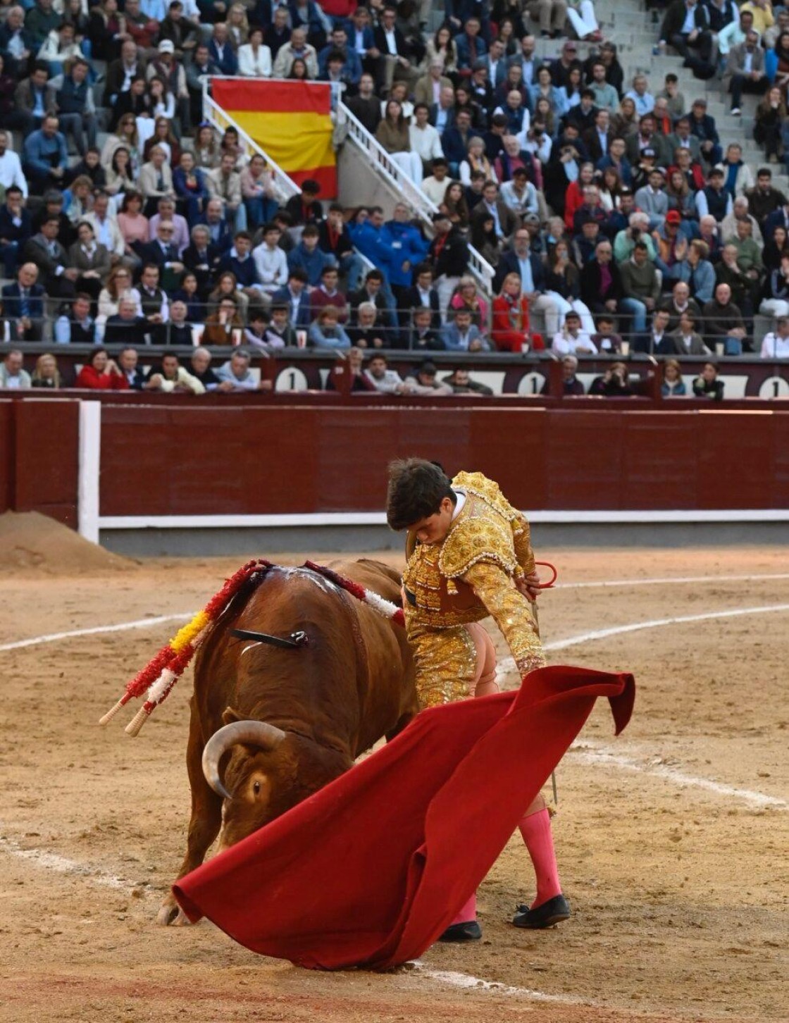 El aragonés Aarón Palacio suma y sigue; nuevo triunfo en Las Ventas