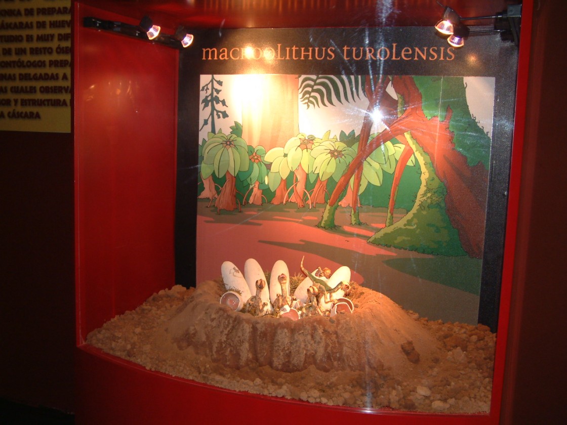 Tres empresas optan a la mejora de la musealización de Dinópolis en Galve