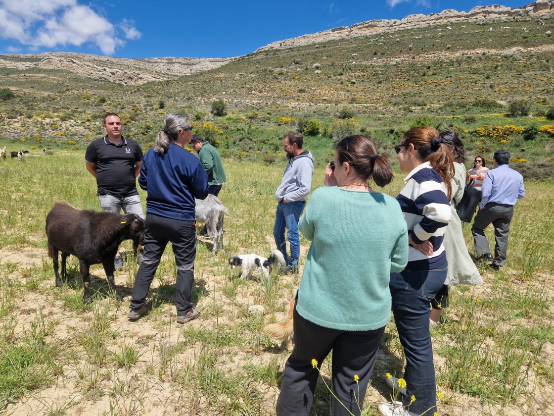 ‘Egoturismo’, autenticidad y el abismo entre ciudad y campo, realidades del turismo agroalimentario