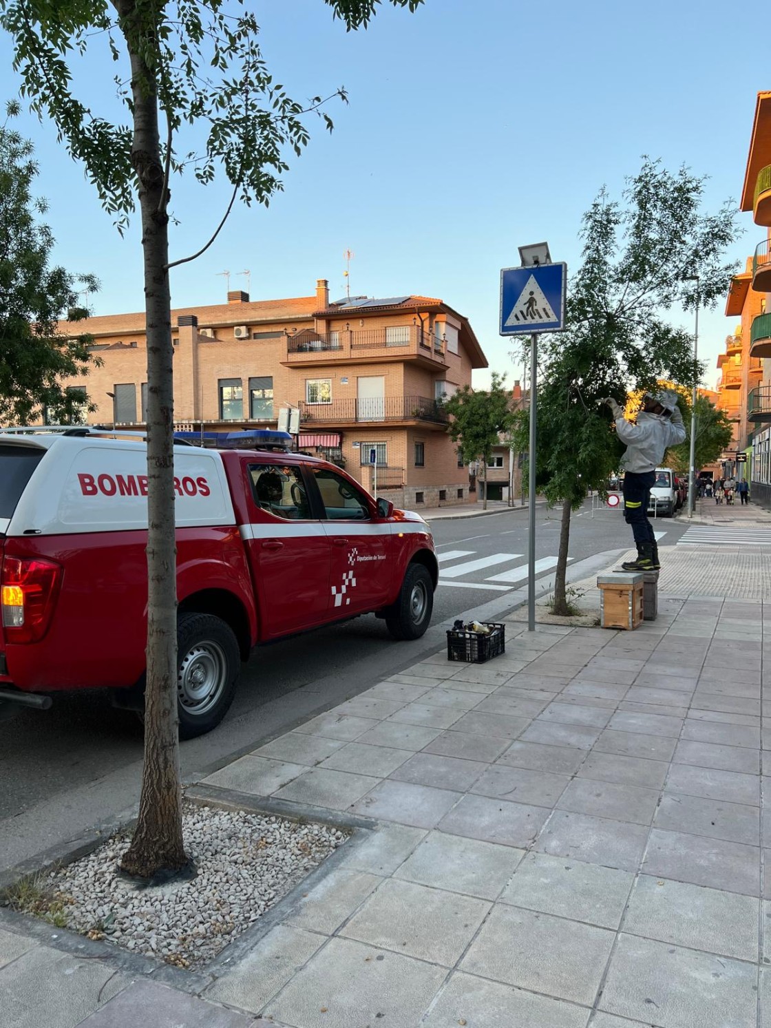Los Bomberos de la DPT incrementan en primavera la retirada de colmenas de abejas