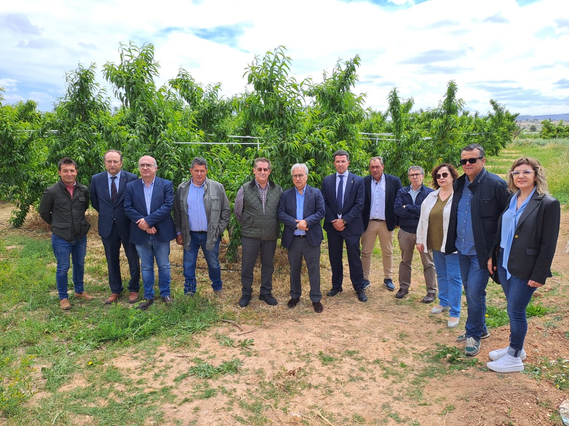 La modernización del regadío en Calanda aporta ahorros del 40% en recurso y coste del agua